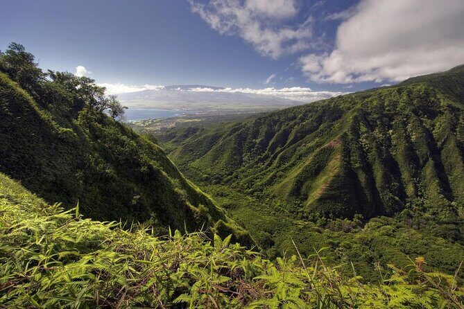 West Maui Adventure Tour with Private Guide - Key things I’d plan around