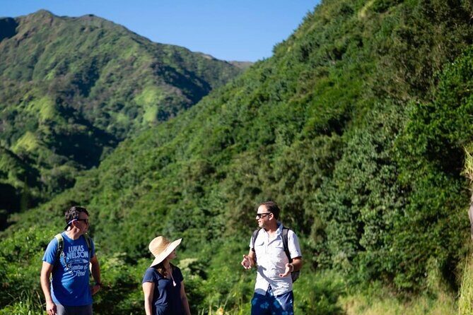 West Maui Adventure Tour with Private Guide - Getting there: Kahului or Ma‘alaea pickup (and what costs extra)