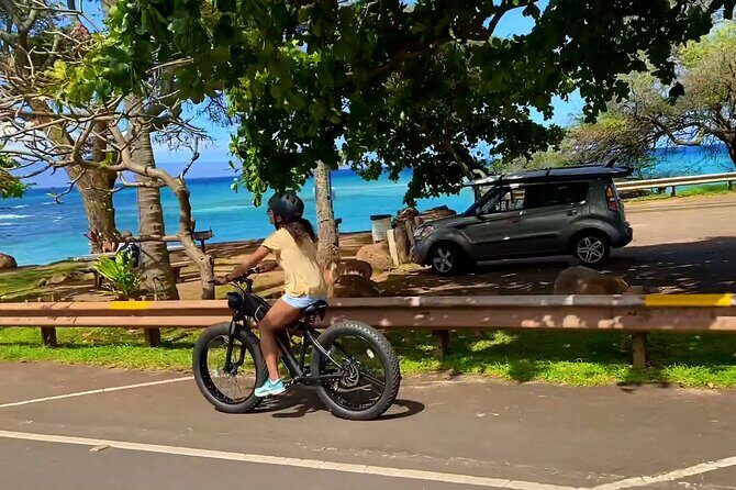 West Maui eBike Island Explorer Full-Day Rental - Who should book this West Maui eBike rental (and who should pause)