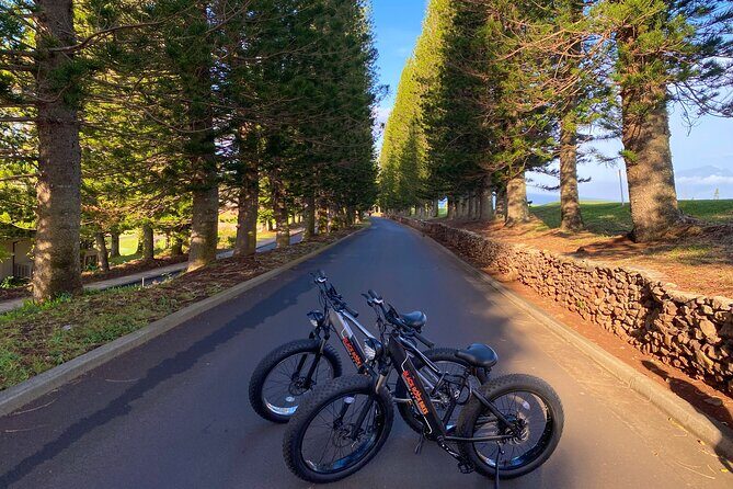West Maui Electric Bike Rentals - The Two-Hour Route: Lower Roads, Beach Park Breezes, and Front Street