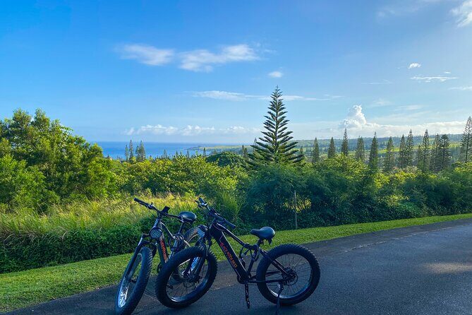 West Maui Electric Bike Rentals - Who This E-Bike Rental Is Best For (And Who Should Rethink It)