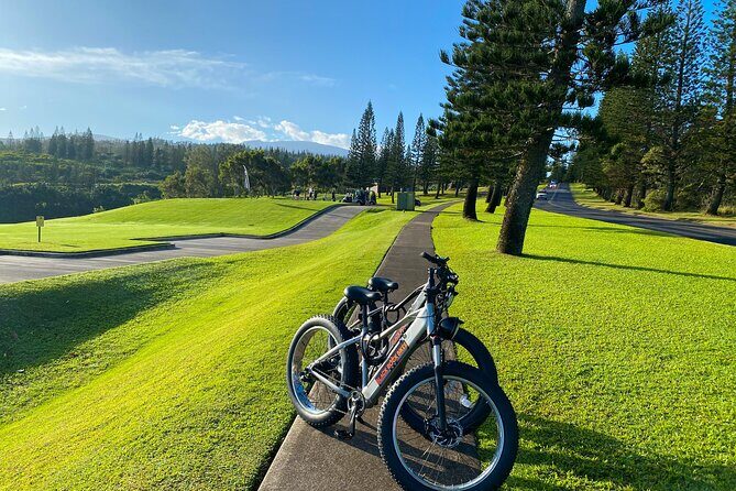 West Maui Electric Bike Rentals - Throttle-Mode vs. Pedal-Assist: How the Bike Changes Your Maui Game Plan