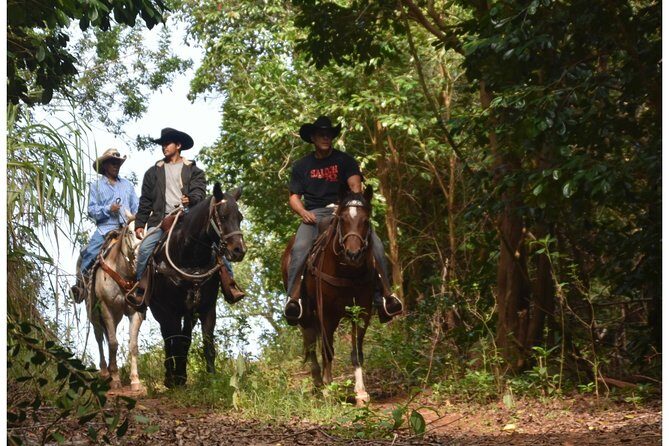West Maui Mountain Waterfall and Ocean Tour via Horseback - A West Maui ride that actually changes scenery