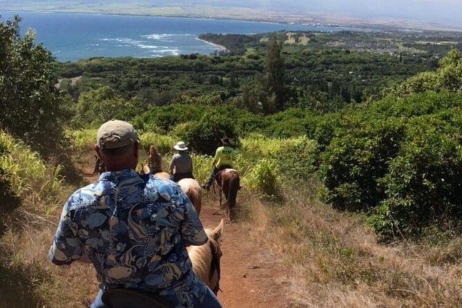 West Maui Mountain Waterfall and Ocean Tour via Horseback - Horse matching: why it makes or breaks the experience