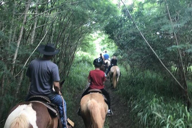 West Maui Mountain Waterfall and Ocean Tour via Horseback - Up the mountainside: where you’ll find waterfalls (when they’re there)