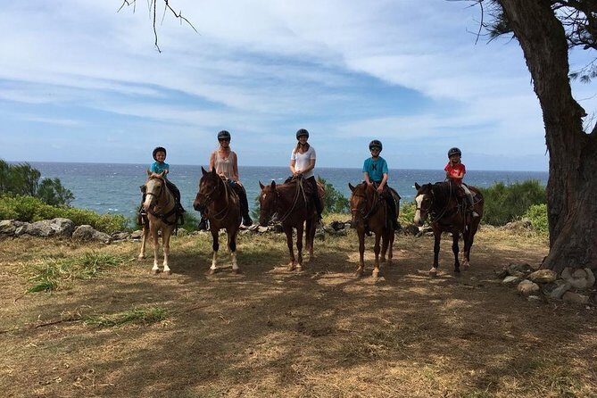West Maui Mountain Waterfall and Ocean Tour via Horseback - Photo stops and guide support: what to expect