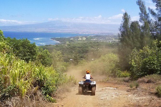 West Maui Mountains ATV Adventure - The guide experience: names to look out for, and why commentary helps