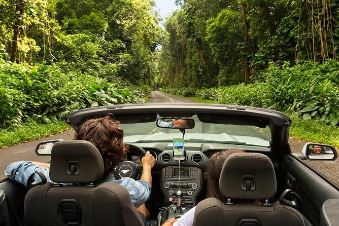 West Maui Self-Guided Audio Tour - Stop 2: Iao Valley State Monument, Maui’s signature valley scene