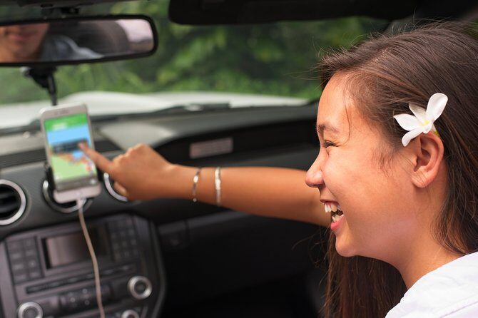 West Maui Self-Guided Audio Tour - Price and value: $15.99 per group (up to 15) makes it easy to justify