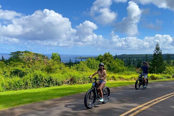 West Maui: Self-Guided E-Bike Kapalua Jungle Adventure Tour - 45 Minutes to Nature: How the Busy Road Part Fits the Route