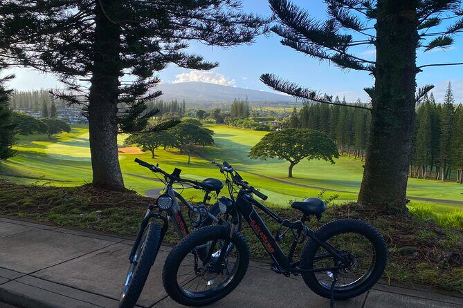 West Maui: Self-Guided E-Bike Kapalua Jungle Adventure Tour - Coast Views, Beaches, and Panoramic Moments You Can Actually Stop For