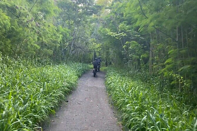 West Maui: Self-Guided E-Bike Kapalua Jungle Adventure Tour - Private and Self-Guided: How That Changes Your Pace