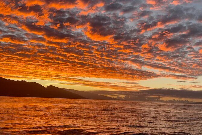 Whale Watch and Scenic Tour from Kayak - Olowalu is the launchpad for a West Maui ocean day