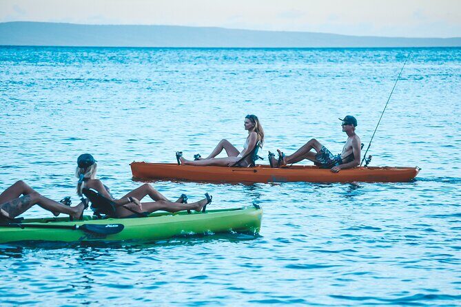 Whale Watch and Scenic Tour from Kayak - Wildlife time: what you can realistically expect