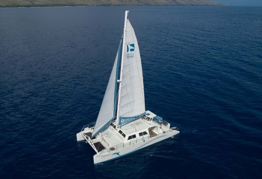 Whale Watch Sail Ma'alaea - First Things First: Where You’ll Sail From in Maui